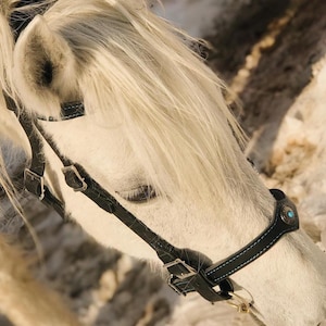 Handgefertigter Leder-Pferdezaum, Benutzerdefinierter Pferdezaum, Echtleder Headstall, Double-Layer-Pferdezaumzeug, Westernzaumzeug, Geschenk für Pferdebesitzer