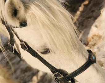 Handmade Leather Horse Bridle, Custom Horse Bridle, Genuine Leather Headstall, Double Layer Horse Tack, Western Bridle, Gift for Horse Owner