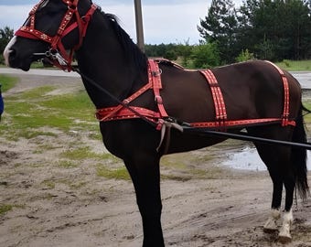 Harness Horse Set Leather Full Driving Harness Felt Lined Breastplate Breeching Headstall Work Horse Tack Handmade