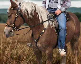 Harnais pour chevaux en cuir pleine grandeur | Bridon, rênes et plastron faits main avec martingale | Équipement d'équitation haut de gamme