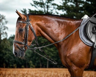 Professional Horse Gogue Training Aid | Leather/Nylon System for Lunging & Riding | Head Position Trainer | Bridle NOT Included