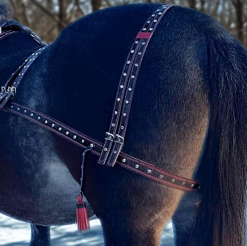 May include: A close-up of a horse wearing a dark brown leather harness with silver-colored studs. The harness has a red accent and a red tassel. The horse's dark coat is visible in the background.