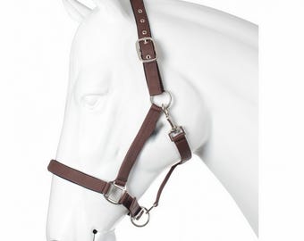 Horse Halter with Nubuck Padding, Adjustable Horse Headcollar, Padded Halter for Horses, Pony Halter, Comfortable Stable Halter