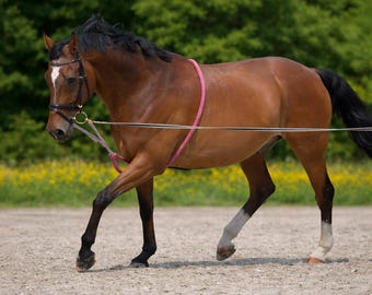 Horse Lunging Surcingle Adjustable | Training Roller | Horse Training Equipment | Groundwork Equipment