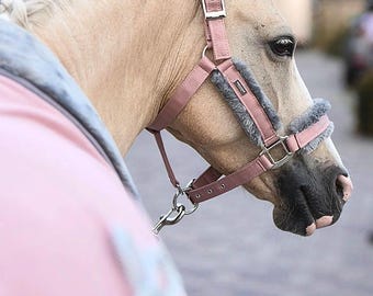 Pink Teddy Fur Horse Halter Set with Lead Rope | Soft Padded Halter Full Pony | Fluffy Halter with Rope | Equestrian Gift
