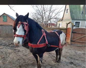 Draft Horse Driving Harness Set – Handmade Leather Harness, Felt Lined Breastplate Breeching Headstall, Custom Driving Horse Tack