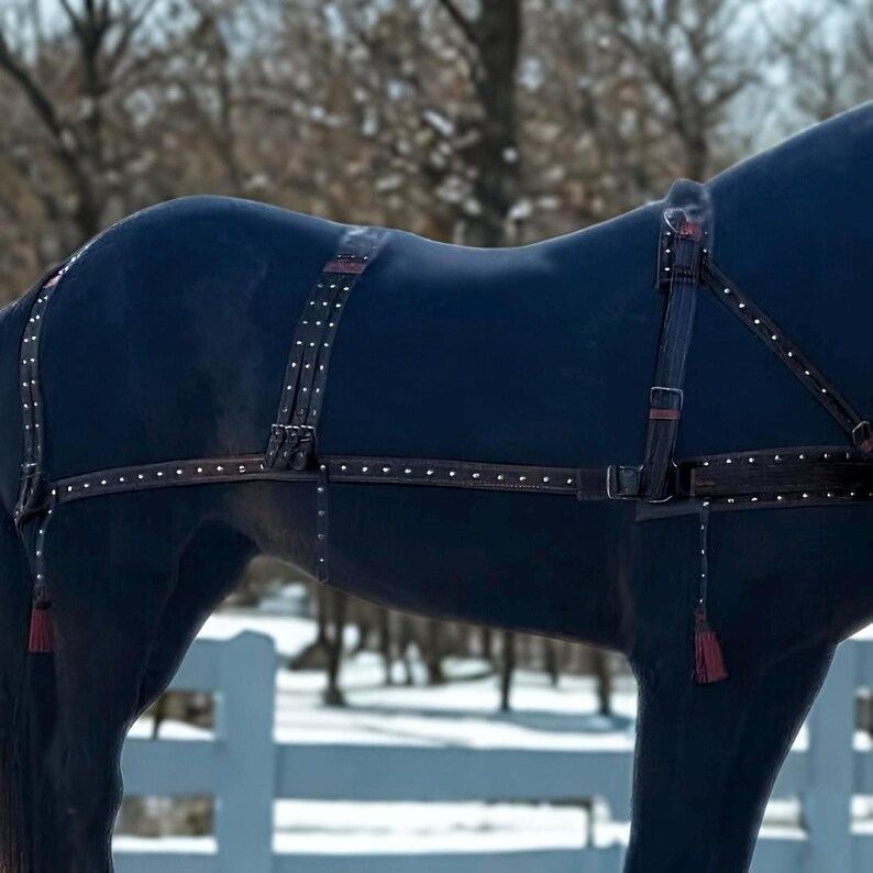 May include: A close-up of a black horse wearing a brown leather harness with silver-colored studs. The harness has decorative tassels and is designed for pulling a carriage or other equipment. The background is a snowy, outdoor scene.