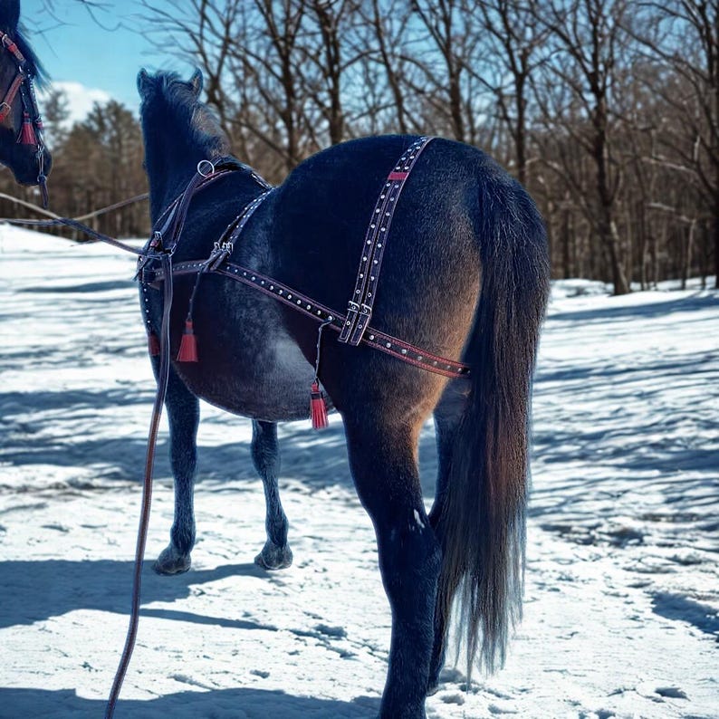May include: A dark horse wearing a brown and red harness with white dot accents and red tassels. The horse is standing in a snowy field with bare trees in the background. The harness appears to be leather.