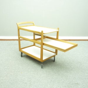 Anthroposophical Bar Cart by Felix Kayser for Schiller Möbel, 1940s
