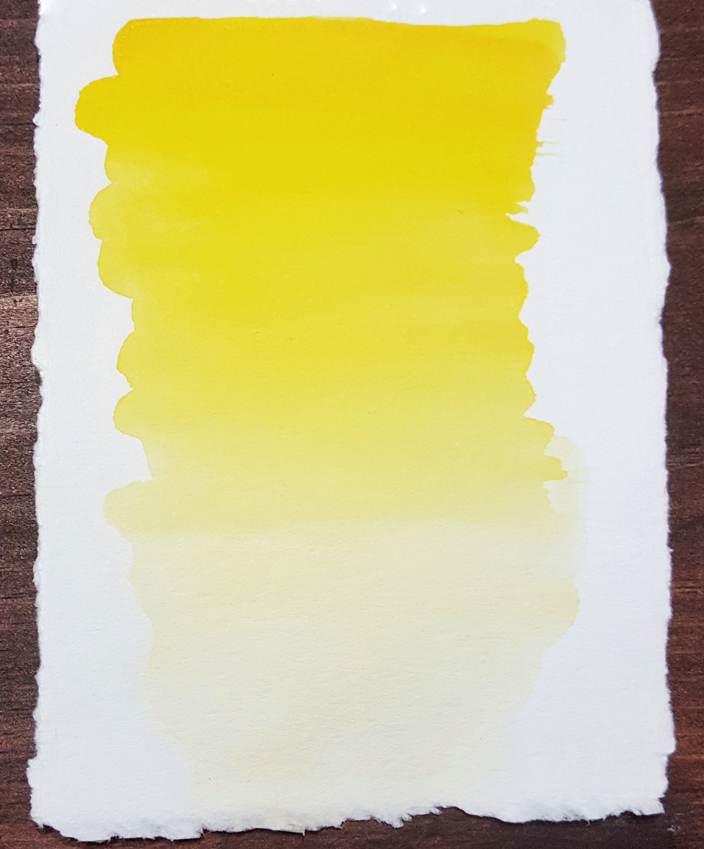 CADMIUM YELLOW Handmade Watercolor Paint Selah Paint Co. Etsy