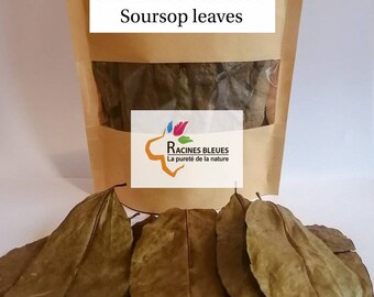 Soursop leaves