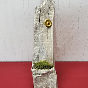 Puede incluir: Un trozo de madera flotante rectangular y desgastado con un acento circular dorado. Un parche de musgo verde está anidado cerca de la base. La madera tiene un aspecto desgastado y texturizado, con vetas visibles y un color claro y neutro.