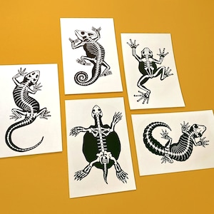 Ensemble de cartes postales Linoprint | Silhouette Squelettes | Lézard, Tortue, Caméléon, Gecko, Grenouille