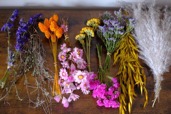 Creative Set Flores Secas coloridas DIY-Set Flores secas - Etsy España