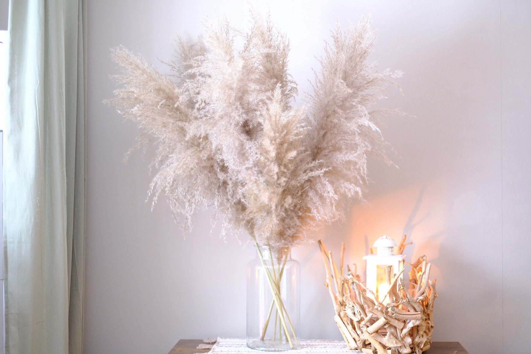 Pampas grass silver-beige mega tufts extra large and fluffy, price per stem! Dried flowers, dried bouquet, dried flowers, dried flowers,