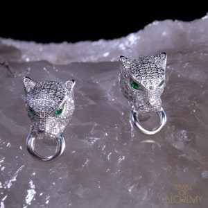 Tiger Oorbellen * Chrome Diopside + Zircon * Gratis DHL Express Verzending *71024ger2