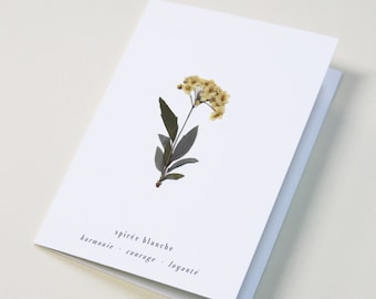 Dried flower card · WHITE SPIREA · Real dried flowers, flower card, herbarium, greeting card, gift card or birthday card