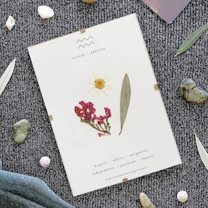 Astrological Herbarium · Aquarius · Dried flower frame, Framed herbarium, Aquarius herbarium, Pressed flowers herbarium, Interior decoration