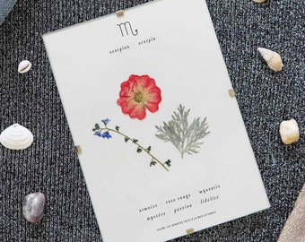 Peut inclure: Une impression encadrée blanche avec une fleur rouge et des feuilles vertes. L'impression porte le symbole du zodiaque du Scorpion et les mots "Scorpio - scorpio" en texte noir. L'impression porte également les mots "atmoise - rose rouge - myosotis mystique - passion - fidelite" en texte noir.