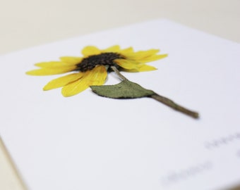 Carte avec fleur séchée · Tournesol · Carte fleurie, carte herbier, carte de voeux, carte cadeau ou carte d'anniversaire