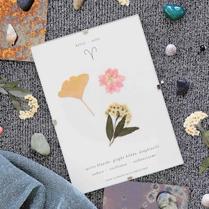 Astrological Herbarium · Aries · Dried flower frame, botanical painting, wall decoration