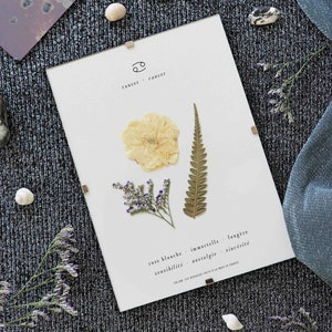 Astrological Herbarium ·  Cancer ·  Natural pressed flowers frame, dried flowers framed herbarium, personalized cancer gift