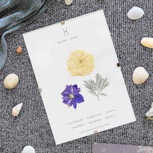 Astrological Herbarium · Fish · Dried flower frame, pressed flower herbarium · Esoteric wall decoration, Interior decoration