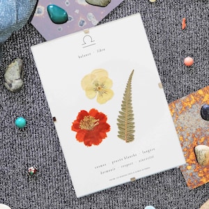 Astrological Herbarium Libra Natural dried flower frame, Pressed flower herbarium, Framed herbarium, Dried flower frame