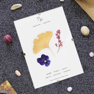 Astrological Herbarium · Capricorn · Astrology and framed pressed flowers, Framed herbarium, Herbarium of dried flowers, decoration