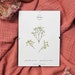 see more listings in the Mini-herbaria - 13x18cm section