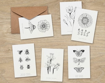 Set de tarjetas florales · 6 tarjetas 10*15cm · Cumpleaños, deseos, decoración de paredes, ilustración botánica