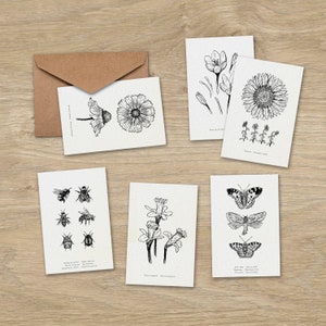 Set de tarjetas florales · 6 tarjetas 10*15cm · Cumpleaños, deseos, decoración de paredes, ilustración botánica