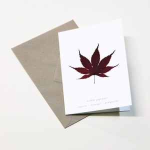 Biglietto con foglia secca · Acero giapponese · Biglietto con fiori, biglietto per erbario, biglietto di auguri, biglietto regalo o biglietto d'auguri