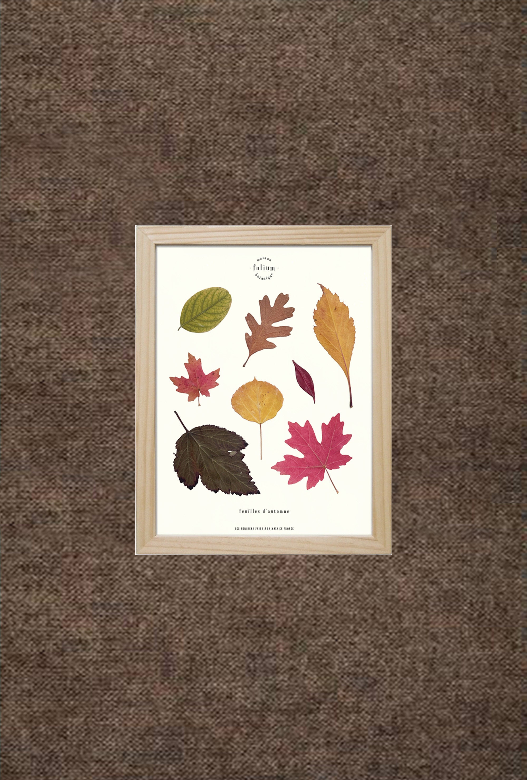 Herbarium of Dried Leaves Autumn Leaves N056 - Etsy Herbarium of Dried Leaves Autumn Leaves N056 - Etsy