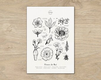 Cartaz "Flores de Maio" · Ilustração A3 de flores sazonais · Gravura botânica, cartaz botânico, desenho de flores, presente de nascimento de maio