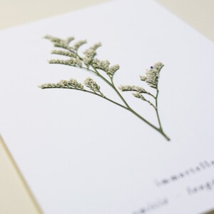 Carte avec fleurs séchéee, carte anniversaire, carte relief, carte vraie fleur, fleur pressée, carte de voeux, pressed flower art, folium, herbarium, herbier