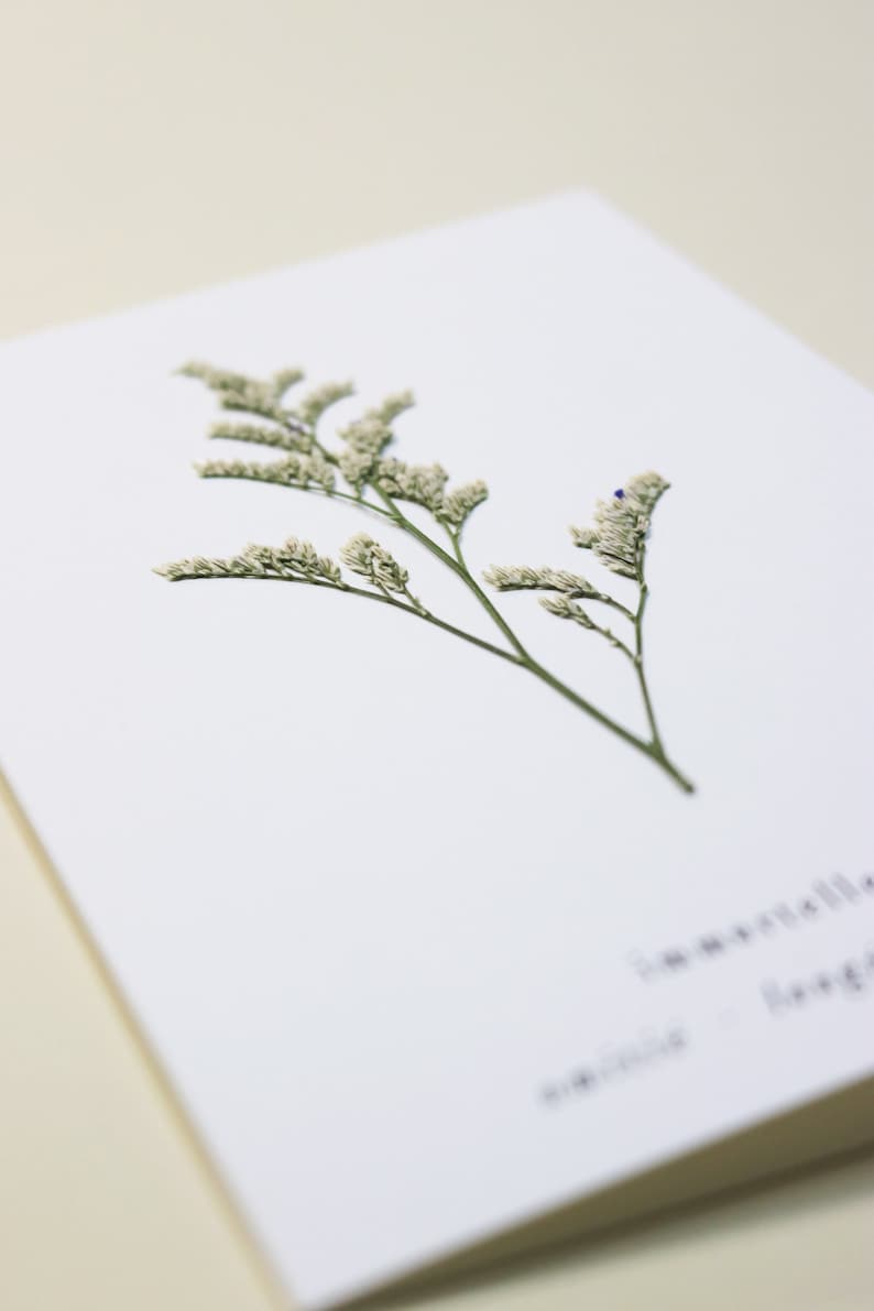 Carte avec fleurs séchéee, carte anniversaire, carte relief, carte vraie fleur, fleur pressée, carte de voeux, pressed flower art, folium, herbarium, herbier
