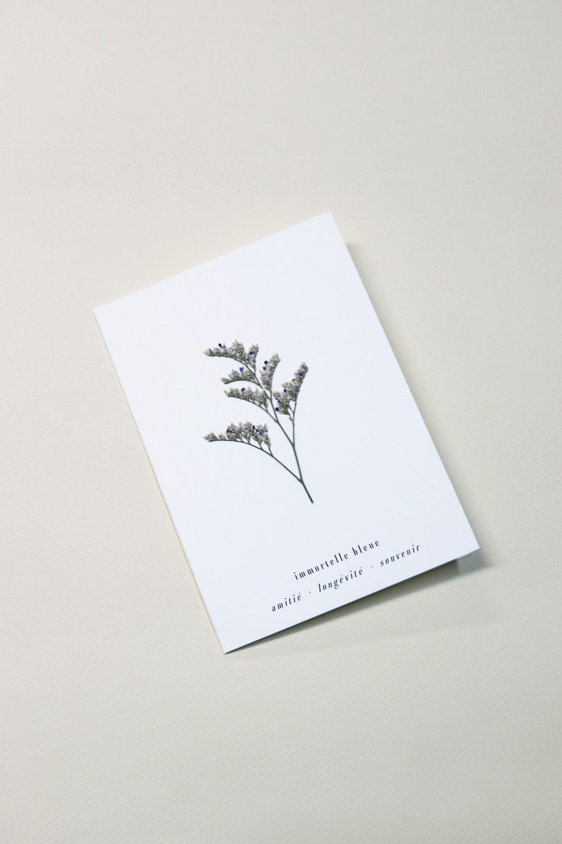 Carte avec fleurs séchéee, carte anniversaire, carte relief, carte vraie fleur, fleur pressée, carte de voeux, pressed flower art, folium, herbarium, herbier