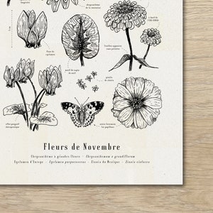 Cartaz "Flores de Novembro" · Ilustração A3 de flores sazonais · Gravura botânica, desenho de flores, presente de bebê, aniversário imagem 2
