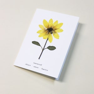 Carte avec fleurs séchéee, carte anniversaire, carte relief, carte vraie fleur, fleur pressée, carte de voeux, pressed flower art, folium, herbarium, herbier