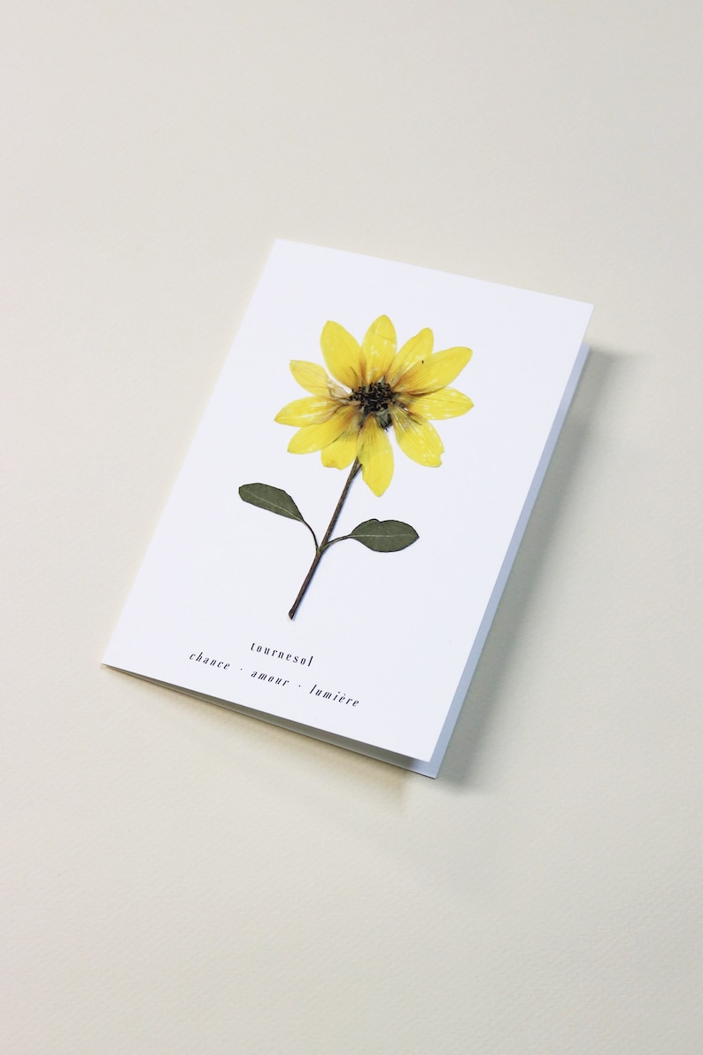 Carte avec fleurs séchéee, carte anniversaire, carte relief, carte vraie fleur, fleur pressée, carte de voeux, pressed flower art, folium, herbarium, herbier