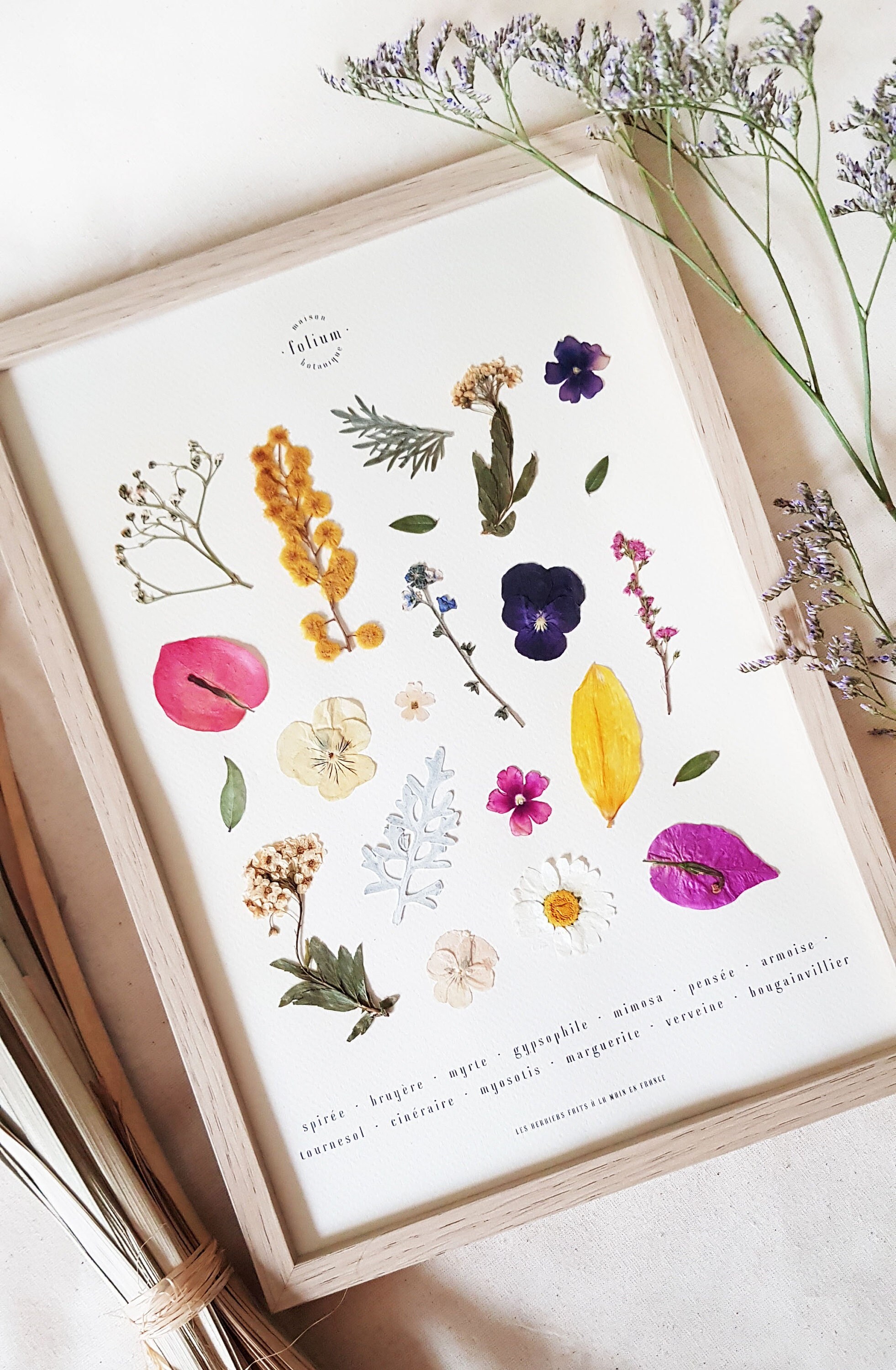 Herbier de Fleurs Séchées Farandole Exemplaire Unique