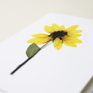 Carte avec fleurs séchéee, carte anniversaire, carte relief, carte vraie fleur, fleur pressée, carte de voeux, pressed flower art, folium, herbarium, herbier