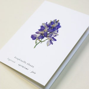 Dauphinelle fleur rose delphinium carte avec fleur séchée carte de voeux carte d'anniversaire carte cadeau carte florale carte herbier offrir occasion folium maison botanique carte naissance félicitations