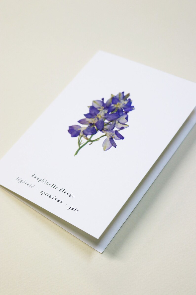 Dauphinelle fleur rose delphinium carte avec fleur séchée carte de voeux carte d'anniversaire carte cadeau carte florale carte herbier offrir occasion folium maison botanique carte naissance félicitations