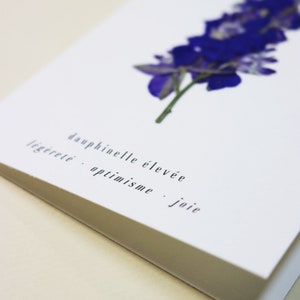 Dauphinelle fleur rose delphinium carte avec fleur séchée carte de voeux carte d'anniversaire carte cadeau carte florale carte herbier offrir occasion folium maison botanique carte naissance félicitations