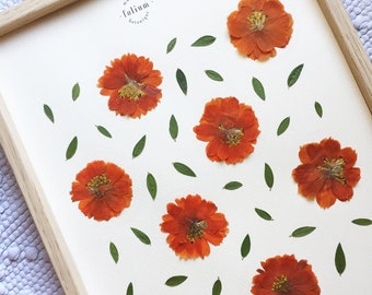 Peut inclure: Une œuvre d'art encadrée présentant des fleurs de cosmos orange séchées et des feuilles vertes sur un fond crème. L'œuvre est encadrée dans un cadre en bois clair. Du texte et un logo sont visibles. Affichage botanique.