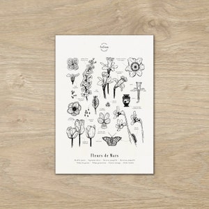 Poster "Die Blumen des Mars" · Illustration saisonaler Blumen im Format A3 · Botanischer Stich, Pflanzenzeichnung, Blumenschmuck