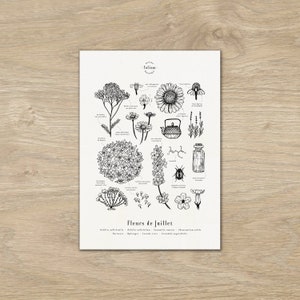 Plakat "Die Blumen des Juli" · A3 Illustration von saisonalen Blumen · Botanischer Stich, Personalisiertes Geschenk Juli, Geburtsgeschenk