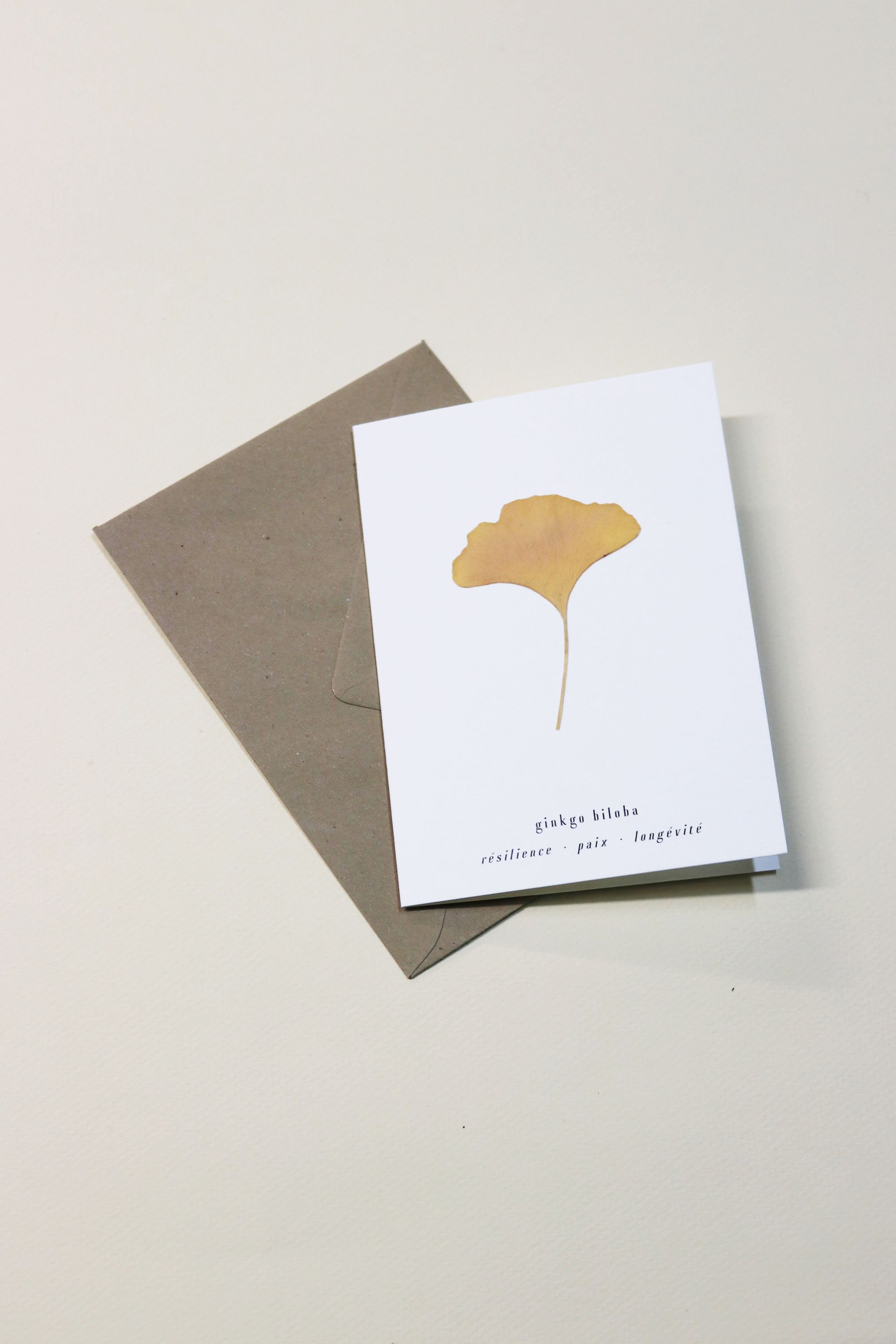 Card with dried leaf * Ginkgo Biloba * Flower card, herbarium card, greeting card, gift card or birthday card